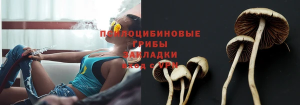 ешки Михайлов