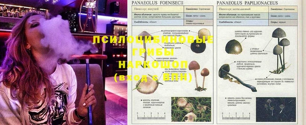 ешки Михайлов