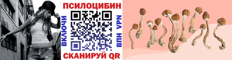 Псилоцибиновые грибы Psilocybe  Купить где  Торжок 